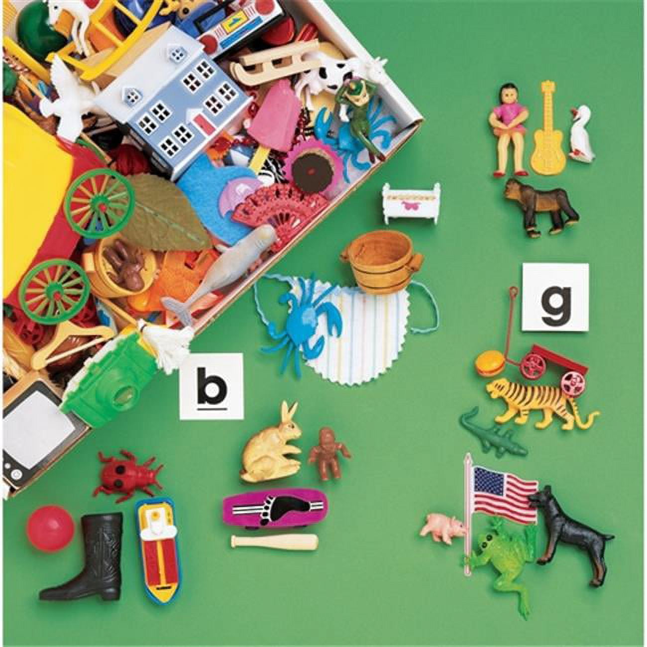 Primary Concepts Articulation Box