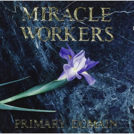 Primary Domain (Audiobook)