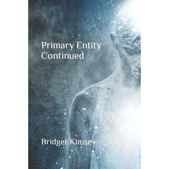 Primary Entity Continued, (Paperback)