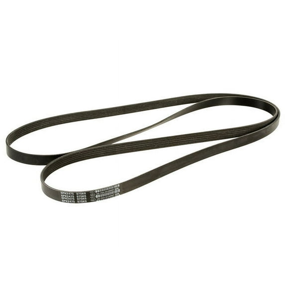 Primary Multi Rib Belt - Compatible with 2006 - 2010 Hyundai Sonata 3.3L V6 2007 2008 2009
