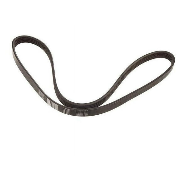 Primary Multi Rib Belt - Compatible with 2007 - 2010 Audi Q7 4.2L V8 2008 2009
