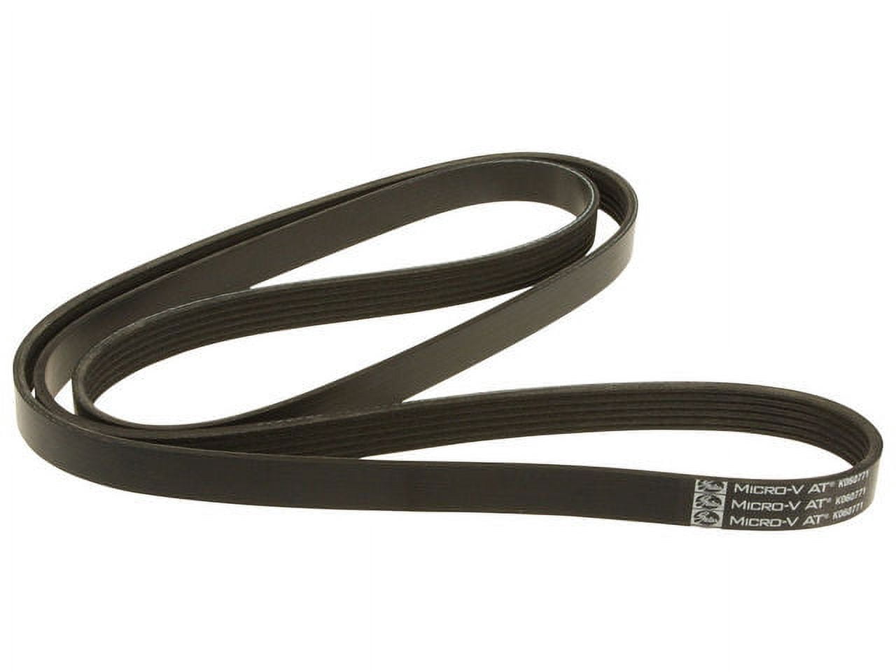 Primary Multi Rib Belt - Compatible with 2011 - 2020 Dodge Grand ...