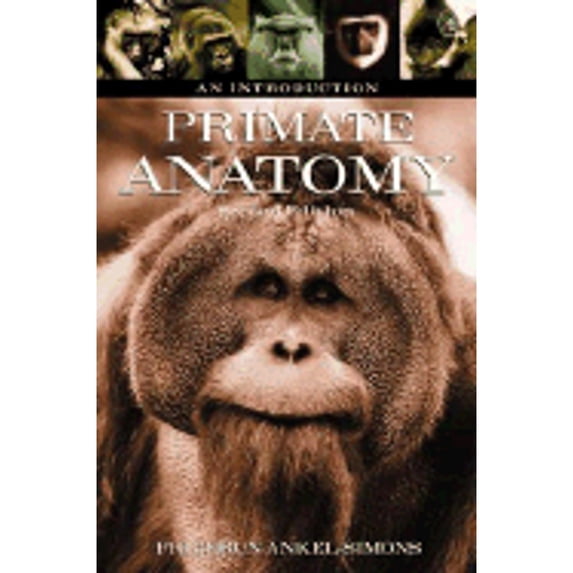 Pre-Owned Primate Anatomy, Second Edition: An Introduction (Paperback) 0120586703 9780120586707