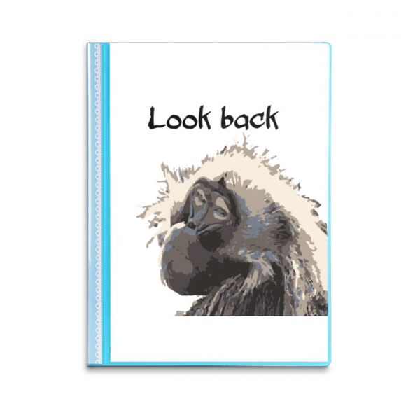 Primate Baboon Papio Book Sheet Protectors Portfolio Binder Folder