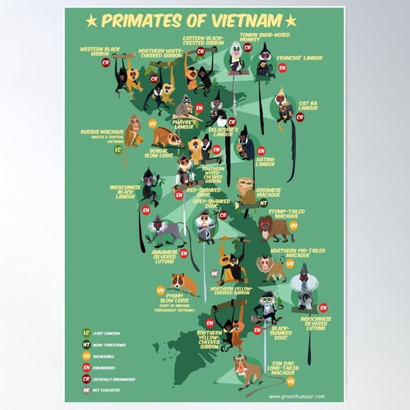 Primates Of Vietnam Poster Wall Art, Modern Wall Decor For Living Room Bedroom, 8x12 UNFRAMED