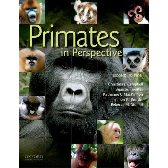 Primates in Perspective, (Paperback)