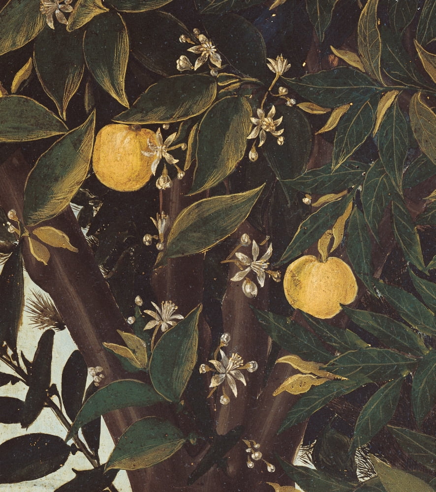 Primavera Canvas Art - (18 x 24)