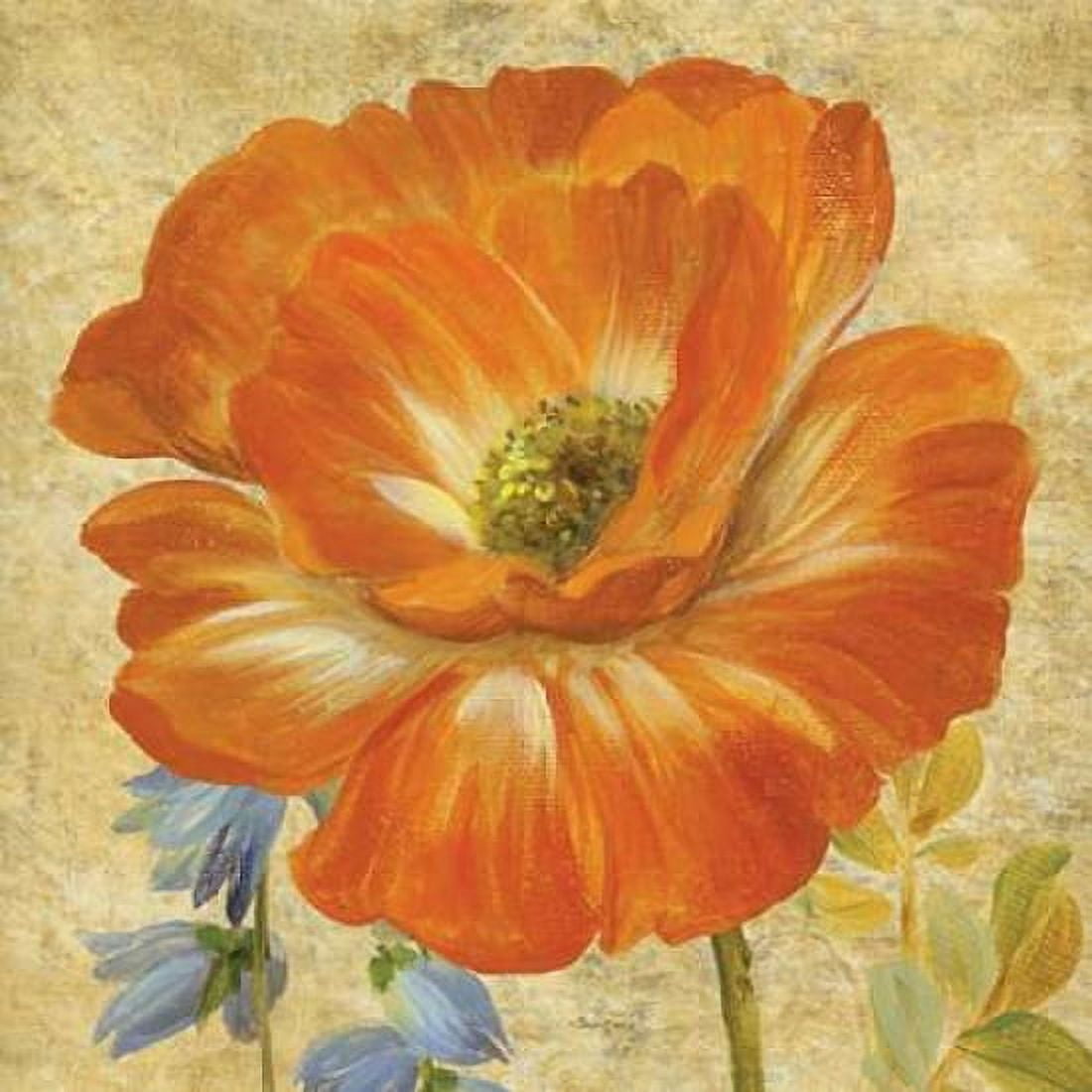 Primavera II Canvas Art - Pamela Gladding (24 x 24)
