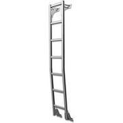 Prime Design ARear Van Door Hook Access Ladder no Drilling Compatible with Ford Transit w/Medium Roof