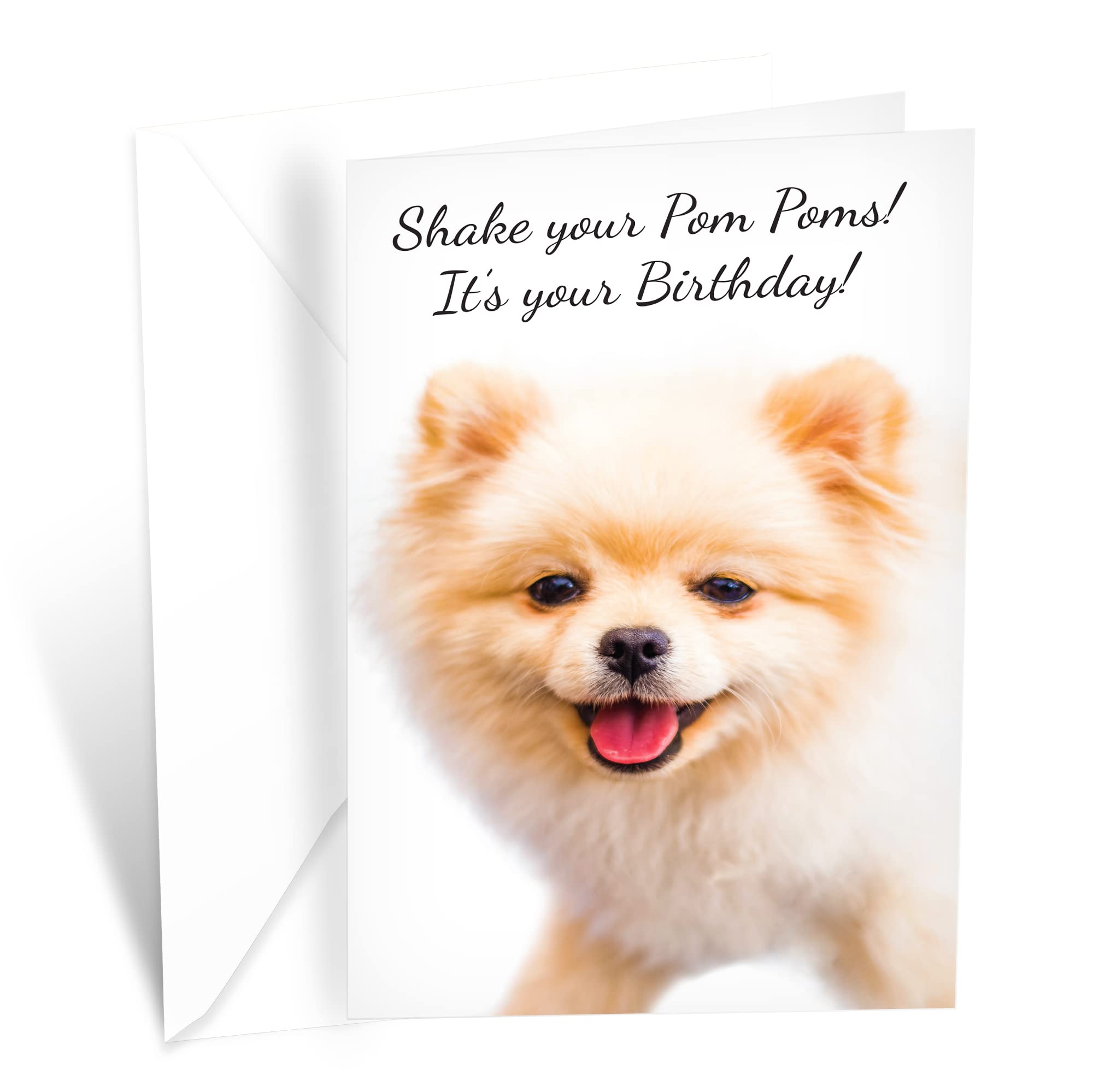Prime Greetings Funny Dog Birthday Card Pun With Pomeranian, Made in ...
