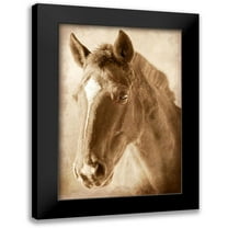Prime, Marcus 11x14 Black Modern Framed Museum Art Print Titled - Wild Stallion 1