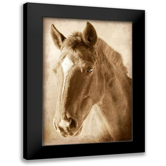 Prime, Marcus 11x14 Black Modern Framed Museum Art Print Titled - Wild Stallion 1