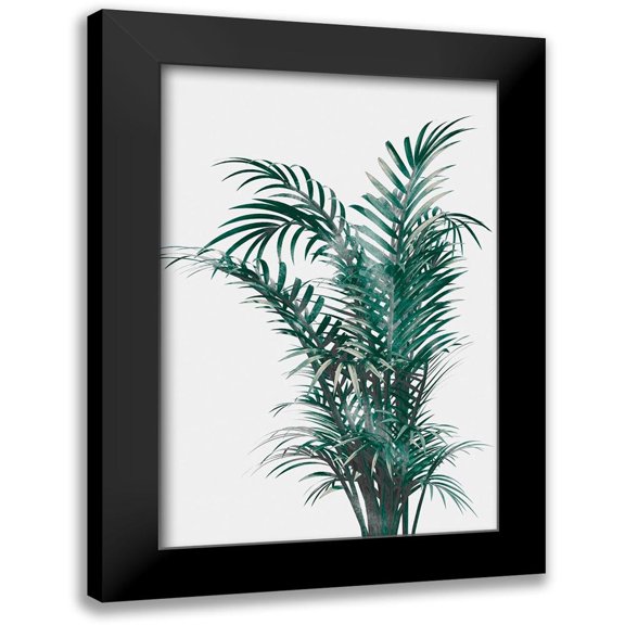 Prime, Marcus 11x14 Black Modern Framed Museum Art Print Titled - Windy Fern