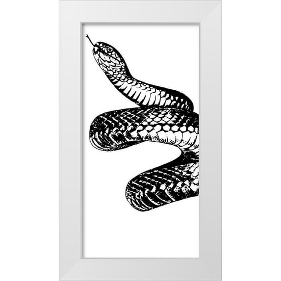 Prime, Marcus 11x18 White Modern Wood Framed Museum Art Print Titled - Snake Bite 1