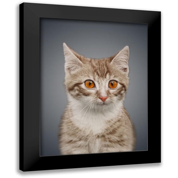 Prime, Marcus 12x14 Black Modern Framed Museum Art Print Titled - Boundless Cuteness 5