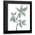 thumbnail image 1 of Prime, Marcus 12x14 Black Modern Framed Museum Art Print Titled - Illustrated Botanicals, 1 of 5