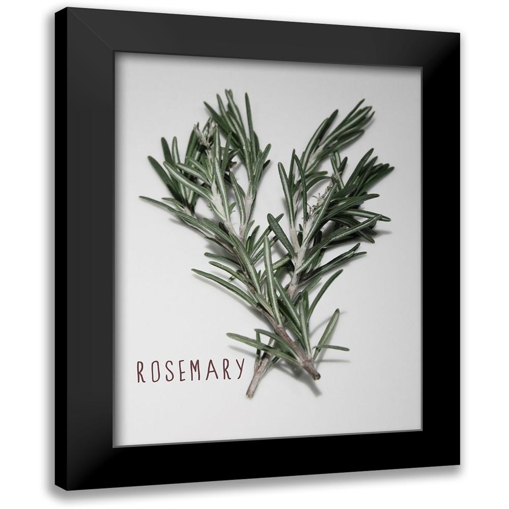 Prime, Marcus 12x14 Black Modern Framed Museum Art Print Titled - Time-Honored Rosemary 1