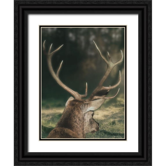 Prime, Marcus 12x14 Black Ornate Wood Framed with Double Matting Museum Art Print Titled - Wandering Buck