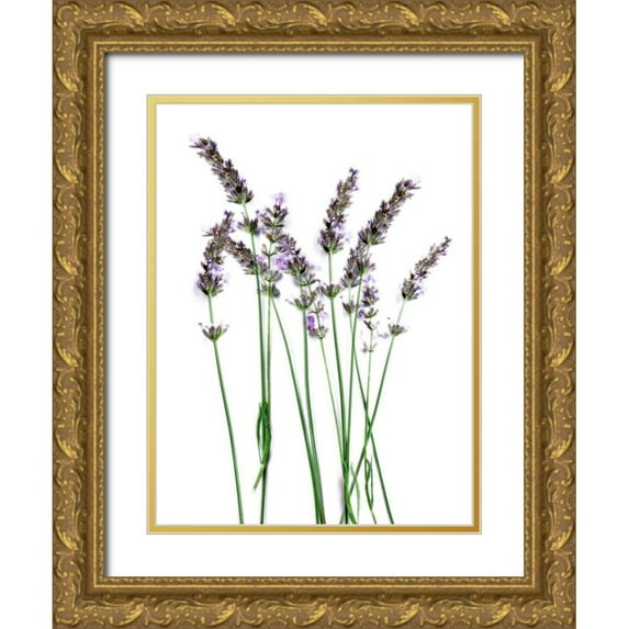 Prime, Marcus 12x14 Gold Ornate Wood Framed with Double Matting Museum Art Print Titled - Lavender Desires