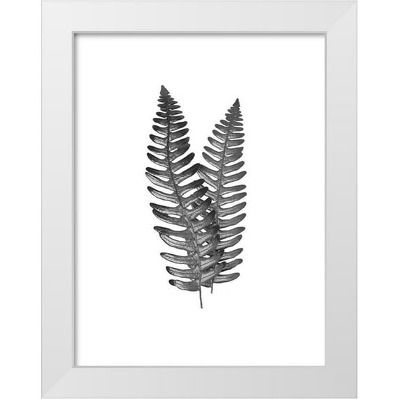 Prime, Marcus 12x14 White Modern Wood Framed Museum Art Print Titled - Fern Dueling 1