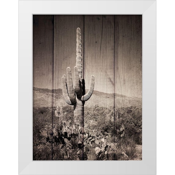 Prime, Marcus 12x14 White Modern Wood Framed Museum Art Print Titled - Western Vibes