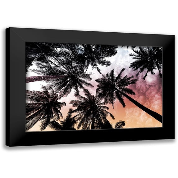 Prime, Marcus 14x11 Black Modern Framed Museum Art Print Titled - Sunset Palms 2