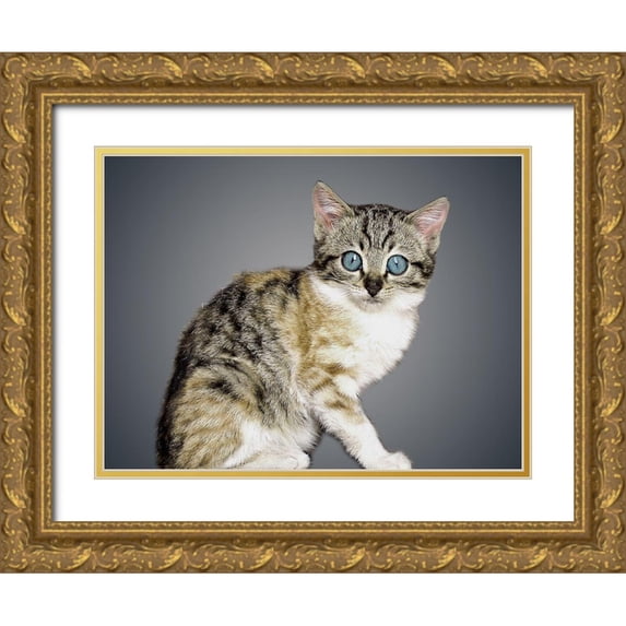 Prime, Marcus 14x12 Gold Ornate Wood Framed with Double Matting Museum Art Print Titled - Boundless Cuteness 2
