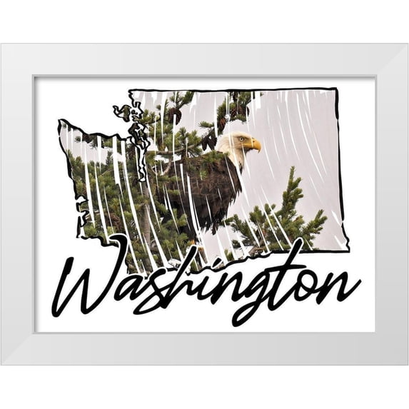 Prime, Marcus 14x12 White Modern Wood Framed Museum Art Print Titled - Washington Pride