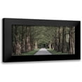 thumbnail image 1 of Prime, Marcus 14x9 Black Modern Framed Museum Art Print Titled - Freedom Road 2, 1 of 5