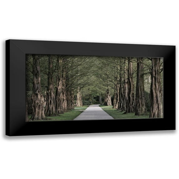 Prime, Marcus 14x9 Black Modern Framed Museum Art Print Titled - Freedom Road 2