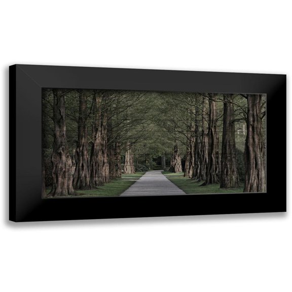 Prime, Marcus 14x9 Black Modern Framed Museum Art Print Titled - Freedom Road