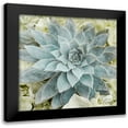 thumbnail image 1 of Prime, Marcus 15x15 Black Modern Framed Museum Art Print Titled - Adored Succulents 2, 1 of 5