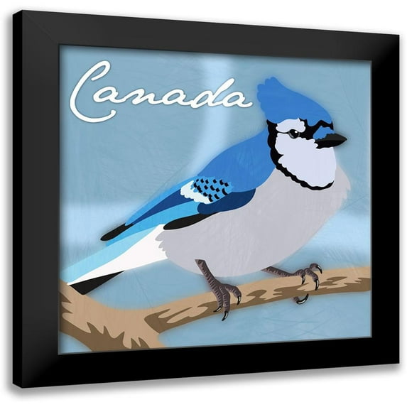 Prime, Marcus 15x15 Black Modern Framed Museum Art Print Titled - Canada Blue Jay