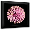 thumbnail image 1 of Prime, Marcus 15x15 Black Modern Framed Museum Art Print Titled - Dahlia Embrace 2, 1 of 5