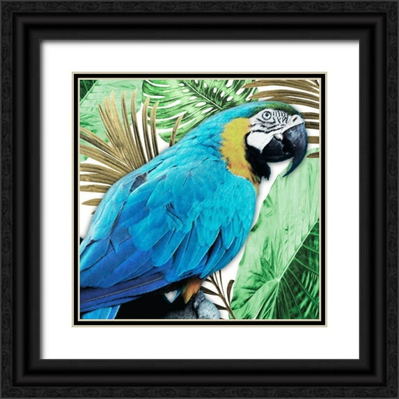 Prime, Marcus 15x15 Black Ornate Wood Framed with Double Matting Museum Art Print Titled - Tropical Views 2