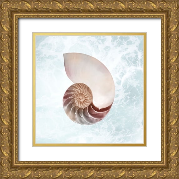 Prime, Marcus 15x15 Gold Ornate Wood Framed with Double Matting Museum Art Print Titled - Sunshine Infused Shell 4