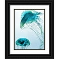thumbnail image 1 of Prime, Marcus 15x18 Black Ornate Wood Framed with Double Matting Museum Art Print Titled - Jelly Fish Friends, 1 of 4