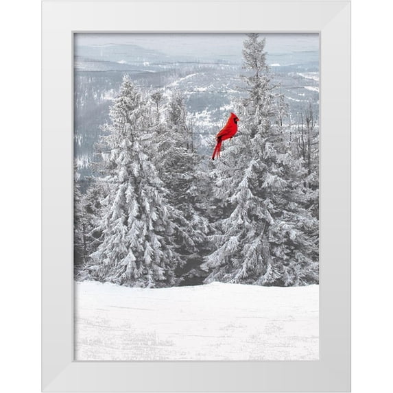 Prime, Marcus 15x18 White Modern Wood Framed Museum Art Print Titled - Merry Cardinal 1