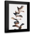 thumbnail image 1 of Prime, Marcus 17x24 Black Modern Framed Museum Art Print Titled - Autumn Eucalyptus 2, 1 of 5