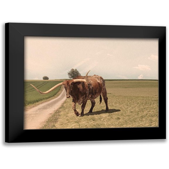 Prime, Marcus 18x15 Black Modern Framed Museum Art Print Titled - Desolate Steer 2
