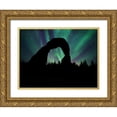 thumbnail image 1 of Prime, Marcus 18x15 Gold Ornate Wood Framed with Double Matting Museum Art Print Titled - Borealis Dreams 3, 1 of 4