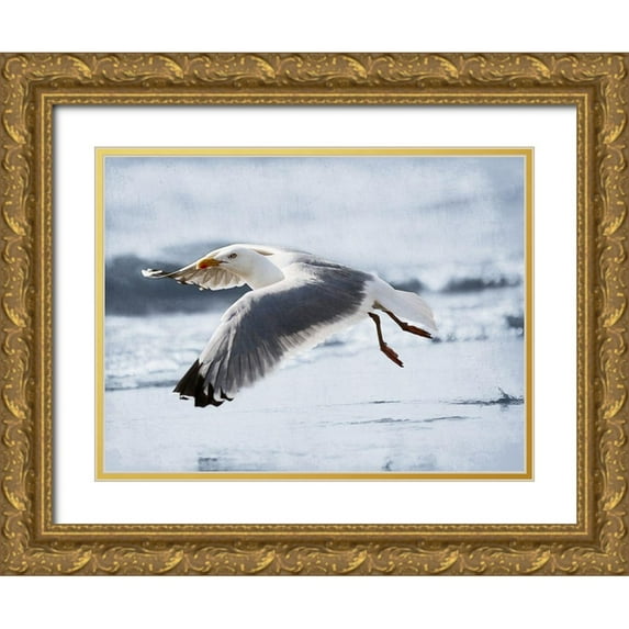 Prime, Marcus 18x15 Gold Ornate Wood Framed with Double Matting Museum Art Print Titled - Fly Free 2
