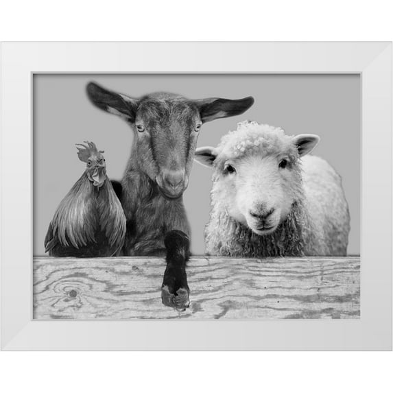Prime, Marcus 18x15 White Modern Wood Framed Museum Art Print Titled - Three Amigos 2