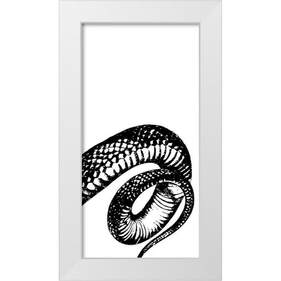 Prime, Marcus 18x32 White Modern Wood Framed Museum Art Print Titled - Snake Bite 3