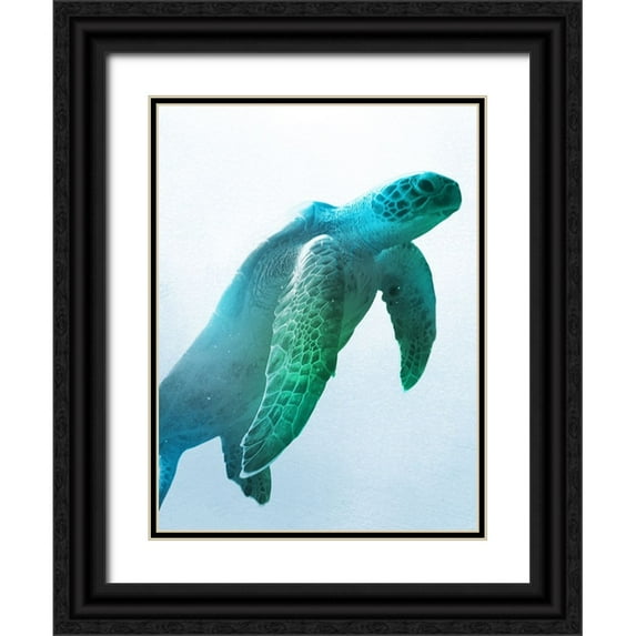 Prime, Marcus 19x24 Black Ornate Wood Framed with Double Matting Museum Art Print Titled - Floating Turtle