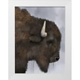 thumbnail image 1 of Prime, Marcus 19x24 White Modern Wood Framed Museum Art Print Titled - Dripping Bison, 1 of 4