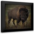 thumbnail image 1 of Prime, Marcus 20x20 Black Modern Framed Museum Art Print Titled - Vigilant Bison, 1 of 5