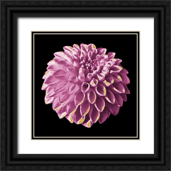 Prime, Marcus 20x20 Black Ornate Wood Framed with Double Matting Museum Art Print Titled - Dahlia Embrace 3