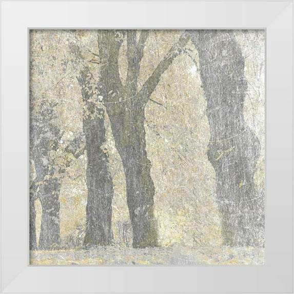 Prime, Marcus 20x20 White Modern Wood Framed Museum Art Print Titled - Lost Woods 1