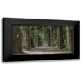 thumbnail image 1 of Prime, Marcus 24x14 Black Modern Framed Museum Art Print Titled - Wilderness Stroll, 1 of 5